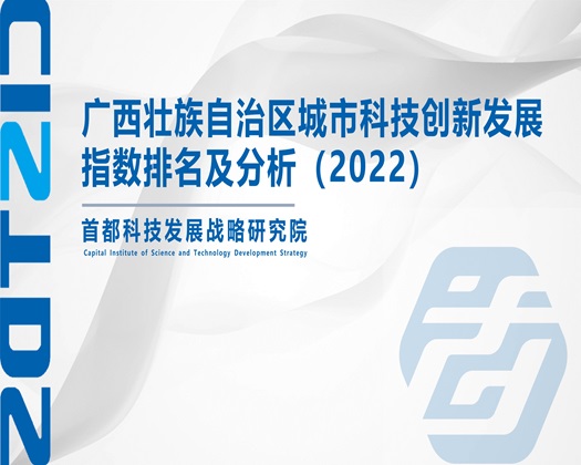 扣摸舔操动漫免费看片【成果发布】广西壮族自治区城市科技创新发展指数排名及分析（2022）